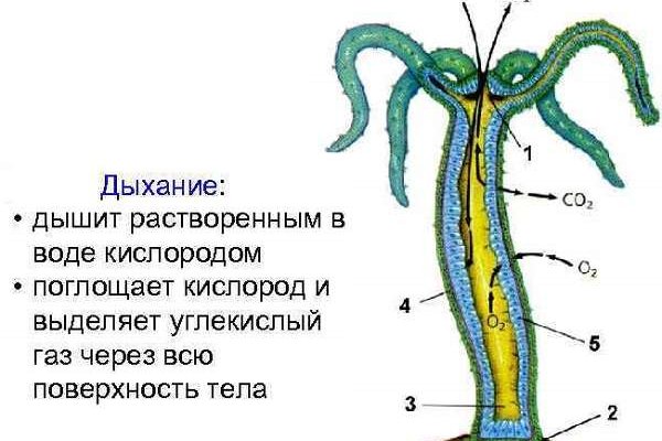 Адрес омг сайта